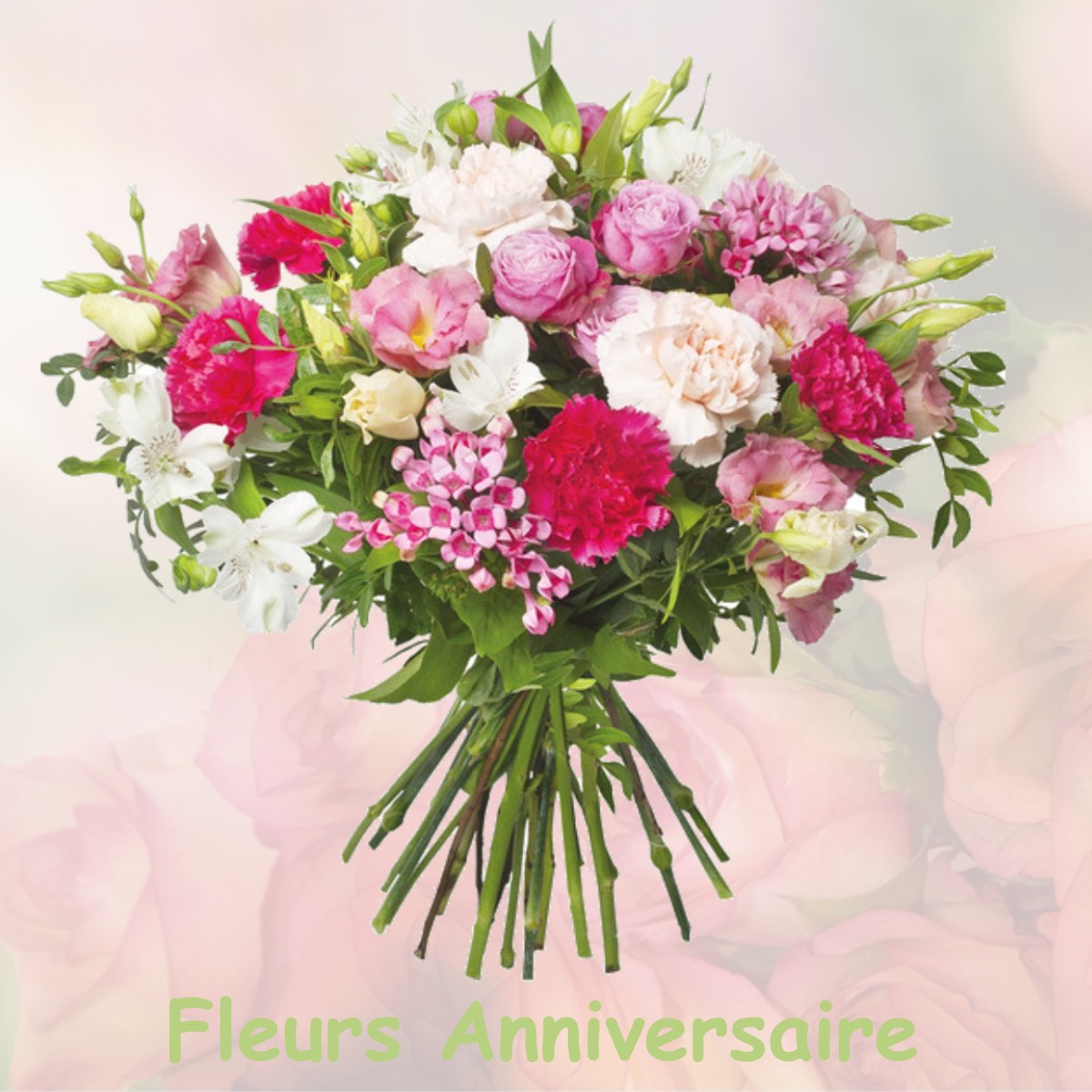 fleurs anniversaire PREVESSIN-MOENS